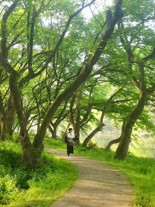 縉雲旅遊｜誤入仙俠世界|縉雲仙都超全攻略