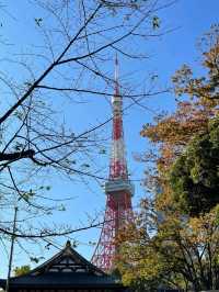 🇯🇵新橋出發｜東京庭園小道散步攻略 🌸 