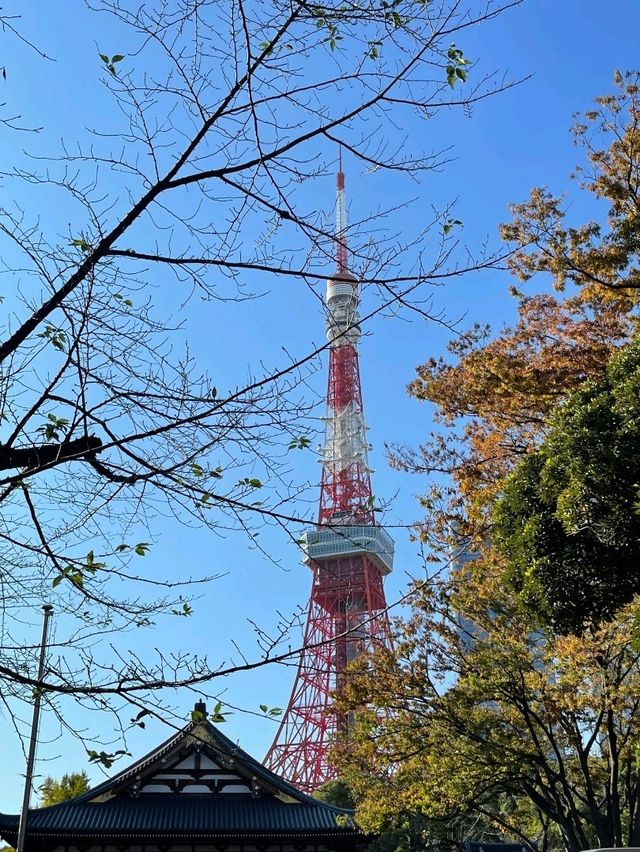 🇯🇵新橋出發｜東京庭園小道散步攻略 🌸 