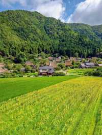 🌻美山町 | 闖入童話般的向日葵花海