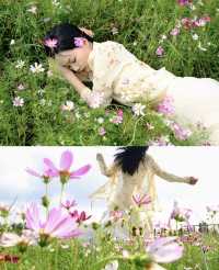 瓊海花海｜闖入花海秘境！