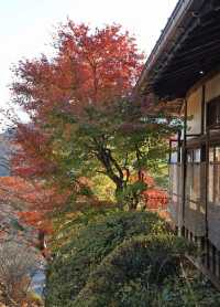 箱根｜三河屋，擁有140年歷史的溫泉旅館