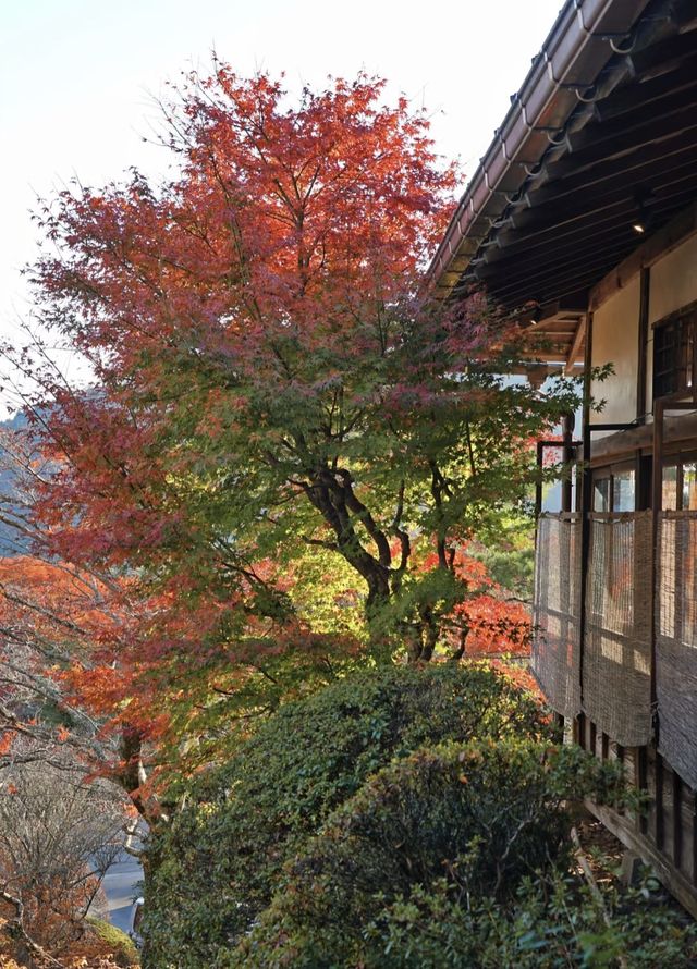 箱根｜三河屋，擁有140年歷史的溫泉旅館