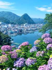 比起富士山！我更喜欢（你的名字）原型大室山