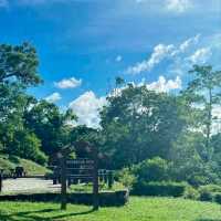 🌿清水灣公園呢片綠到發亮嘅草坪真係治癒到爆！