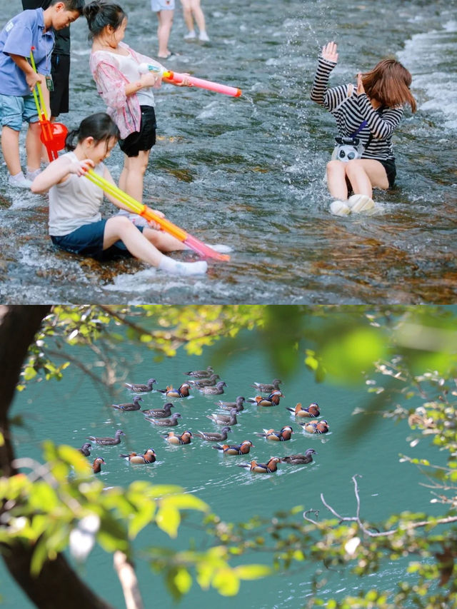 夏日來臨，寧德親子精品旅遊路線上線！