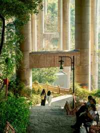 🌸 SPRING SECRET: Chongqing’s "90% DOWNHILL" Flower Path (Zero Sweat Guaranteed!)