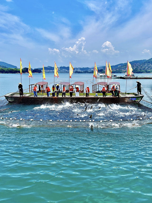 千島湖｜杭州出發，體驗做一日島民
