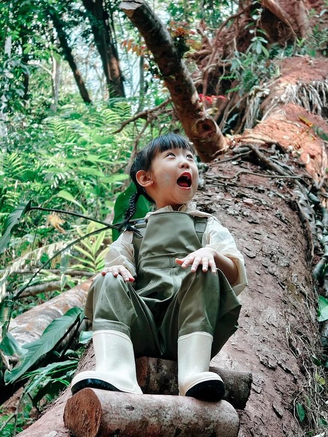 西雙版納之旅返嚟啦，暑假帶小朋友去嘅真係要諗清楚啊！