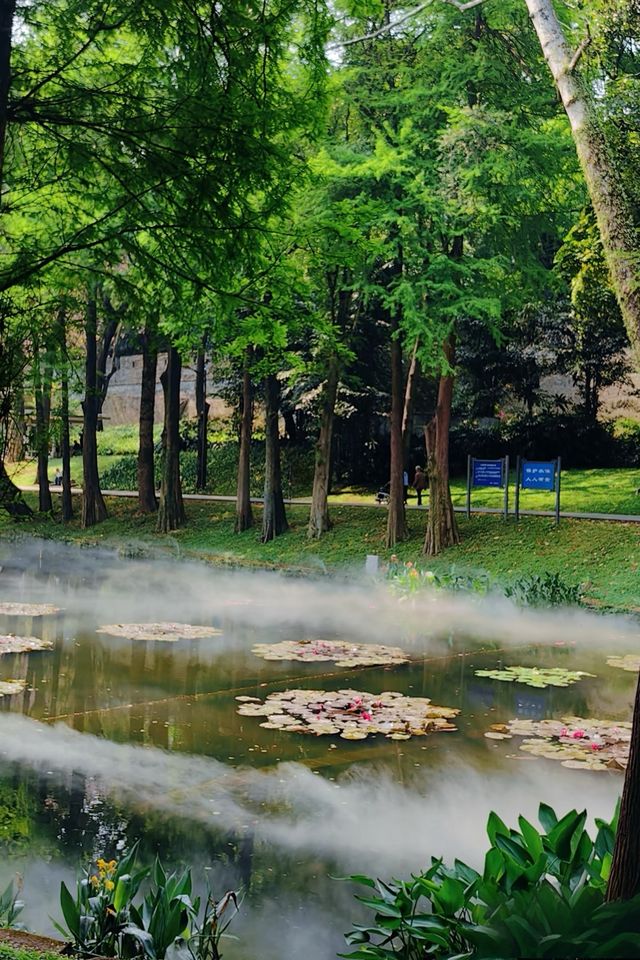 廣州越秀公園暴走實錄！逛到腿軟！