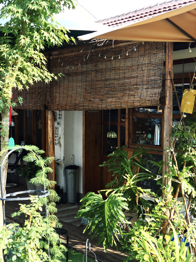 真係睇唔出呢個森林式產業園，以前竟然係間陶瓷廠