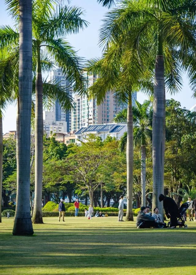 廈門週末狂歡攻略！住錦江之星，逛遍寶藏公園