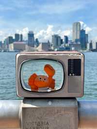 香港seawalk超好影嘅海邊地鐵免費玩~