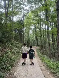 自駕｜桐廬～2日2夜