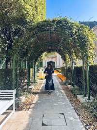 🌆 First Impressions of Macau: Glamour, Culture & Serenity