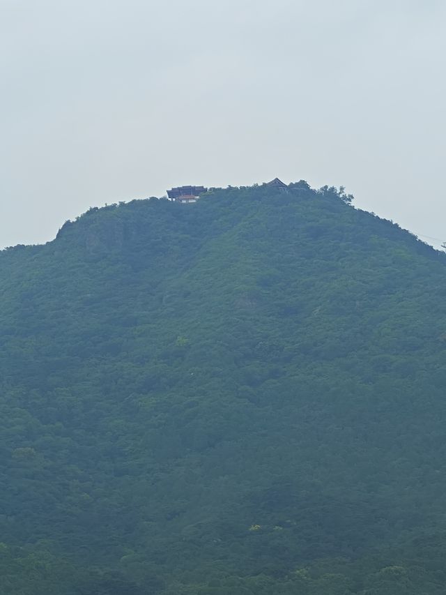靜宜園裡四處轉轉之探訪青末了——