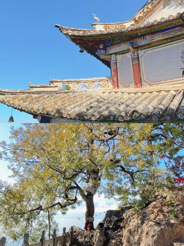 奔赴風花雪月洱海超全遊玩攻略