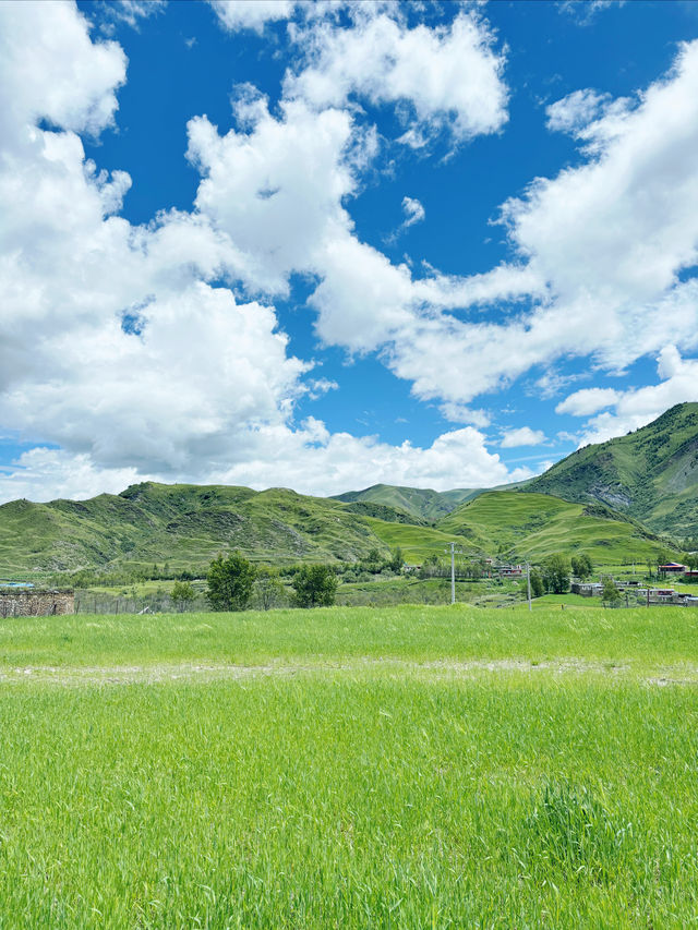 《塔公草原 | 川西絕美仙境，影相打卡全攻略》