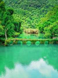 貴陽夏日限定｜荔波小七孔+芦笙節