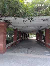 閒遊板橋坊河之三湖公園