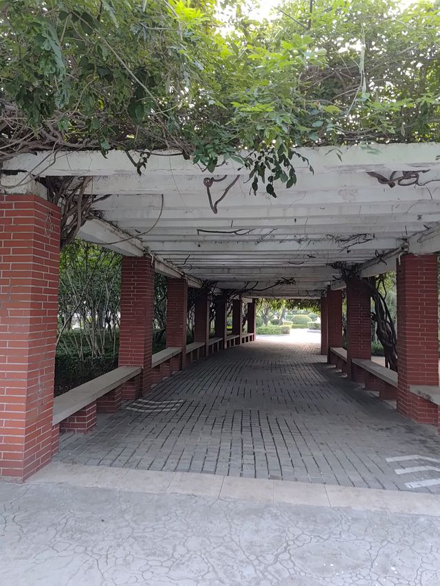 閒遊板橋坊河之三湖公園