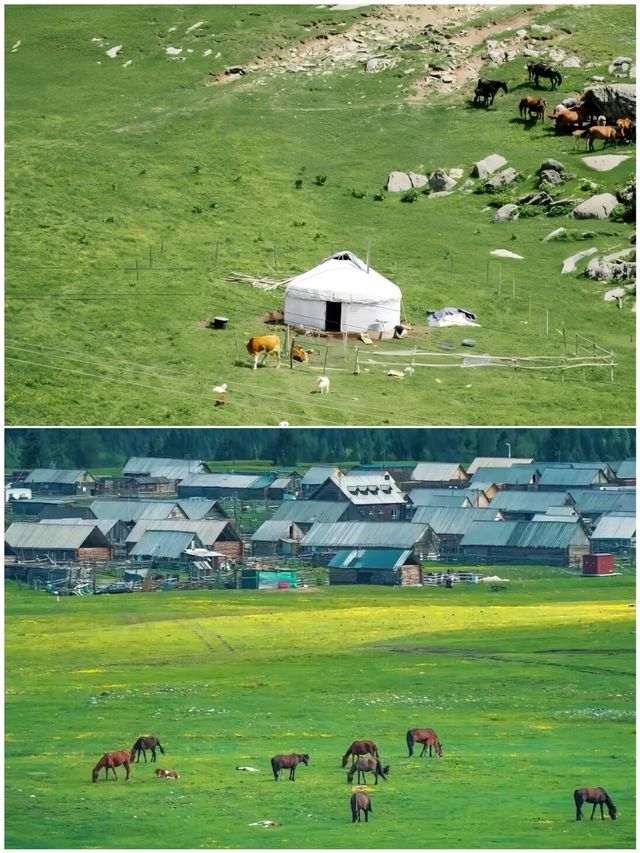 第一次去阿勒泰，真係唔建議跟團