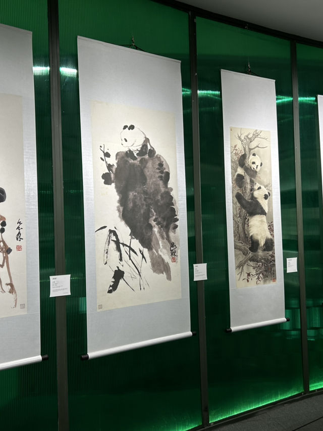 The Pandas of Chengdu!