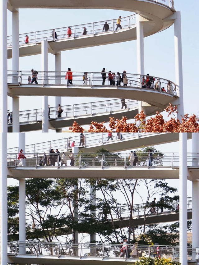夏日出行｜NOA出發 · 仙岳山半日清旅