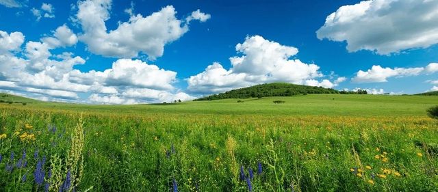 烏蘭布統秘境之旅：草原四季全攻略