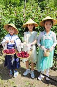 夏天避暑好去處！未見山染民宿