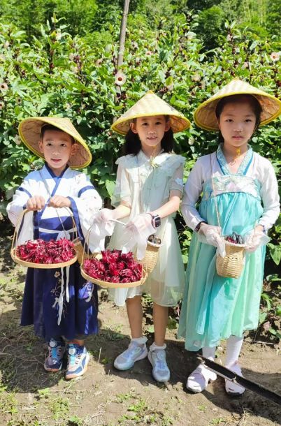 夏天避暑好去處！未見山染民宿