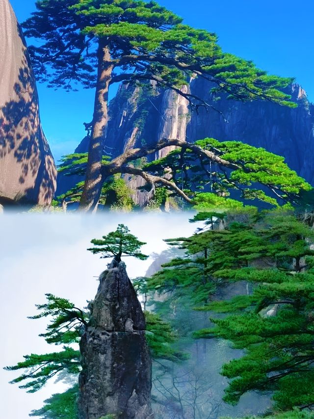 黃山若有靈，定是個名揚四海的仗劍少年。