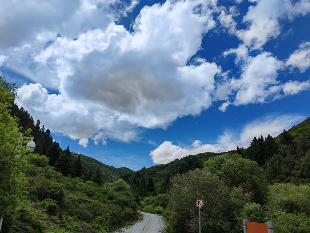 行程標題