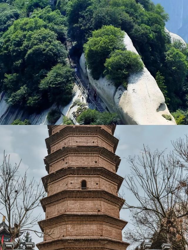 渭南返嚟，講啲難聽嘅大實話