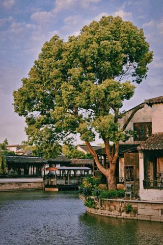 The Dangkou Ancient Town MGallery brings the charm of Jiangnan's ink paintings into its guest rooms
