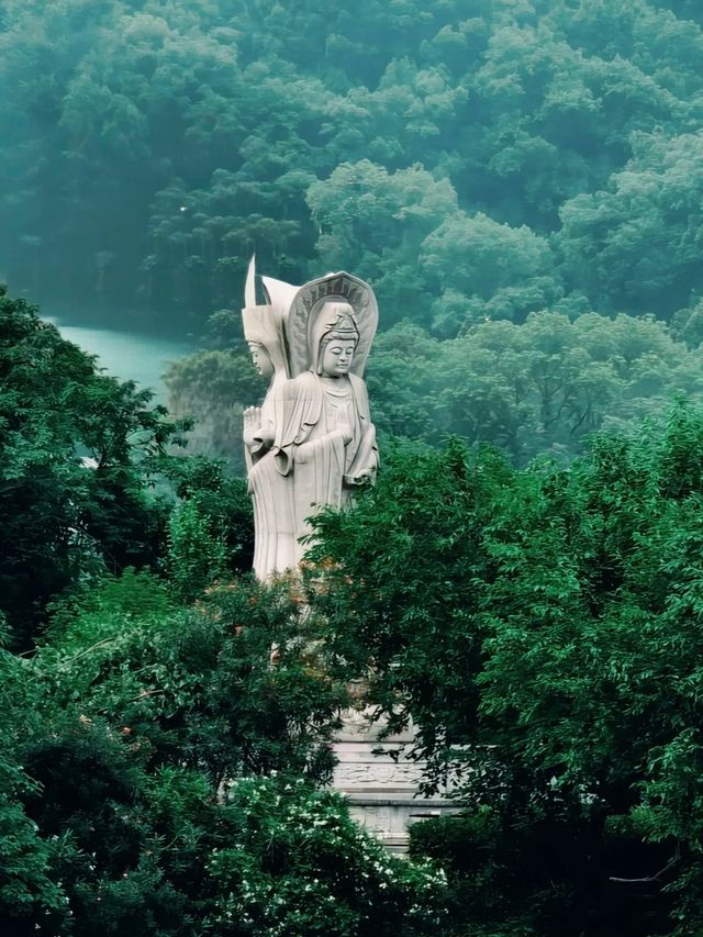 衡陽歡迎您