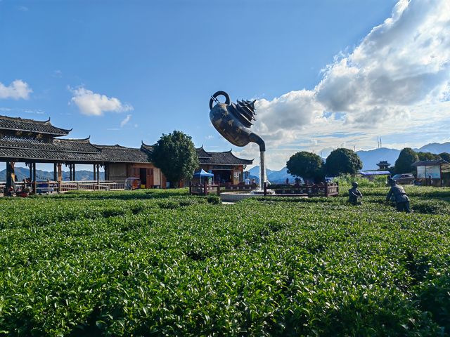 漫山茶香拍照聖地