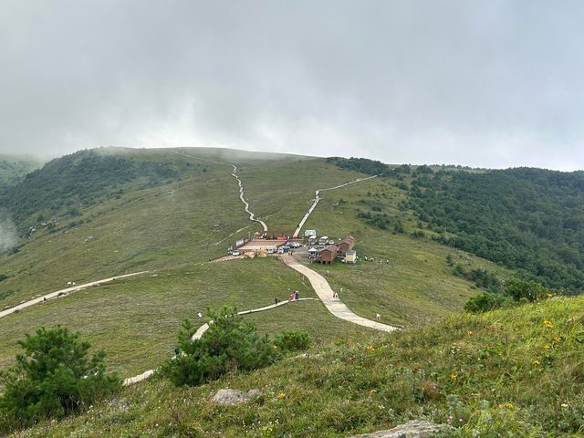 洛陽周邊15℃超冷雲端草原怕冷人慎入！