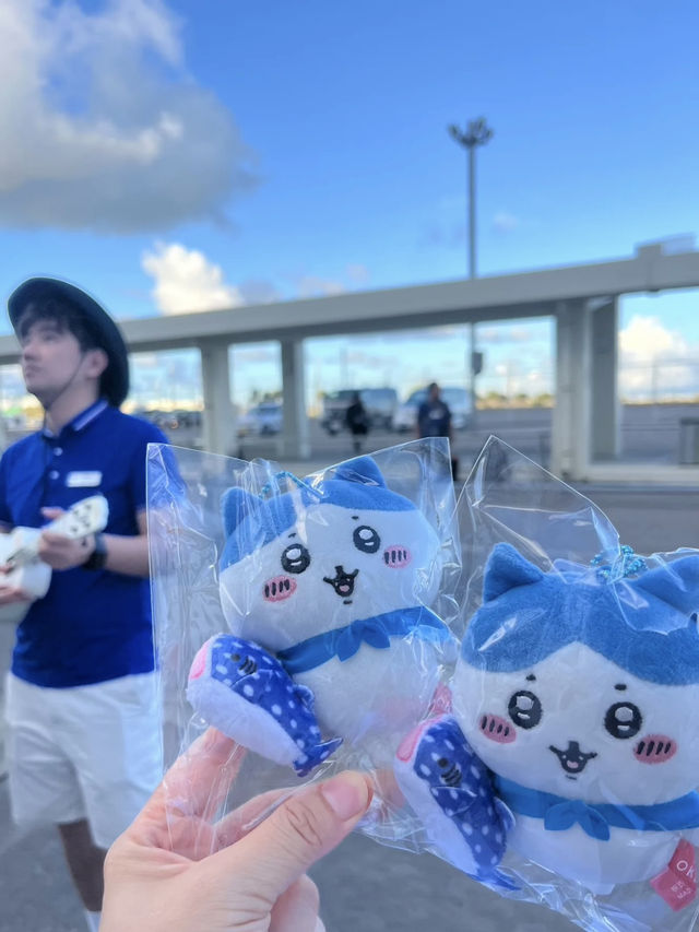 鼓浪嶼號郵輪 🎹 Piano Land 體驗