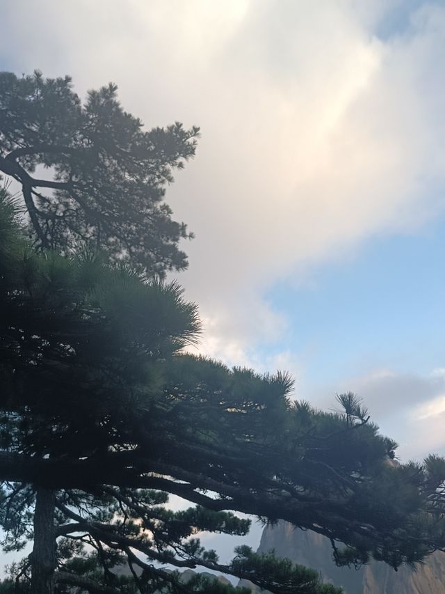 自然奇觀等你探尋---黃山