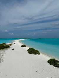 Unforgettable Beach Experience