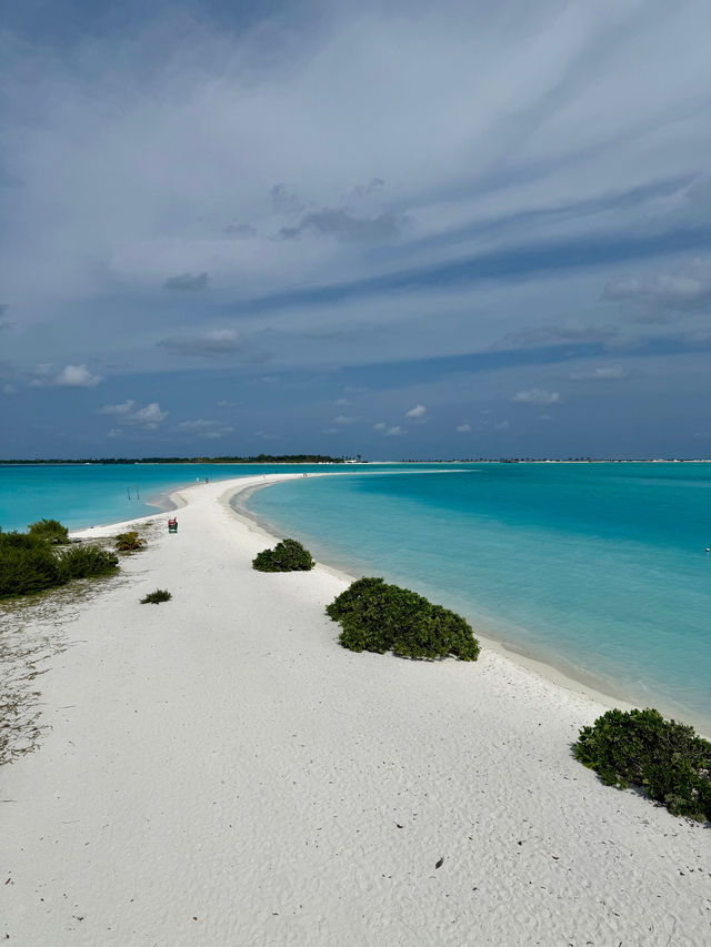 Unforgettable Beach Experience