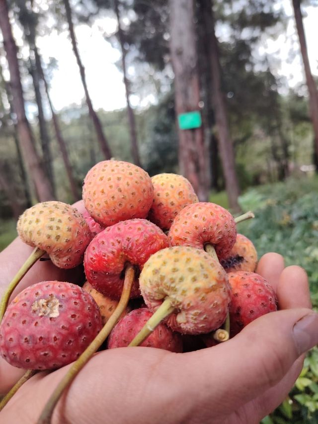 雲南曲靖金秋必打卡藏在山水間的文化寶藏