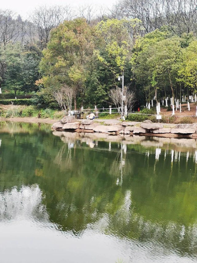 重慶照母山森林公園:山城之上的自然詩篇 重慶照母山森林公園:山城之上的自然詩篇