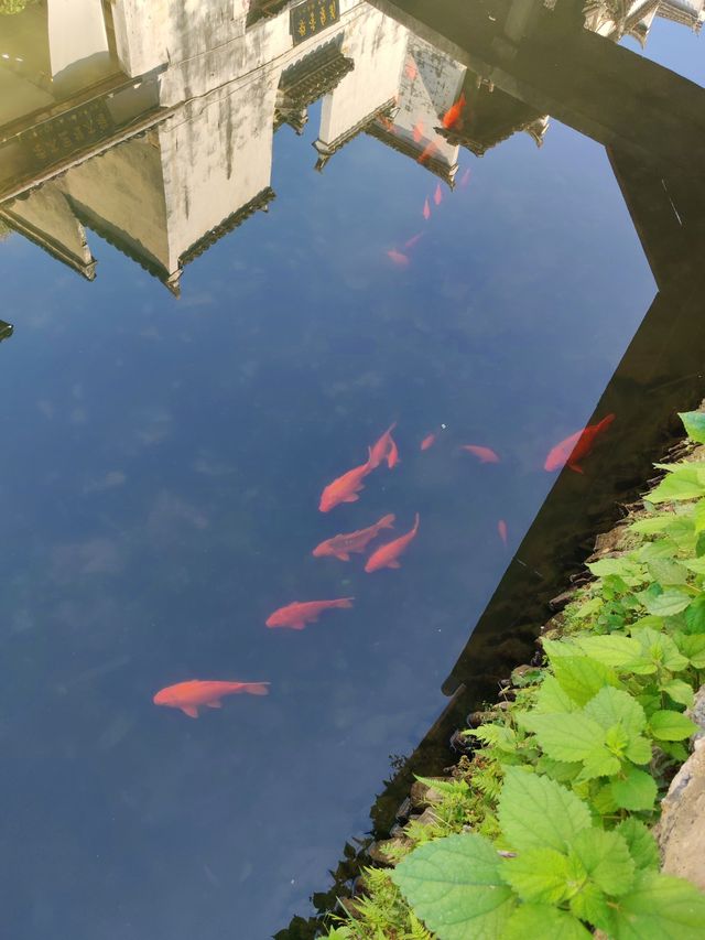 李坑必看徽派建築