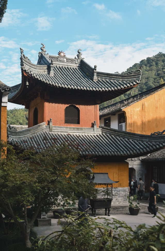 秋風微涼，稻穀滿倉：記第四次去國清寺