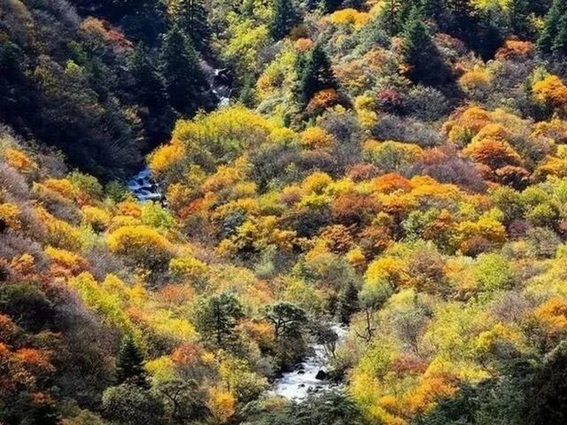 康定秋韻：隱藏於高原的限定浪漫