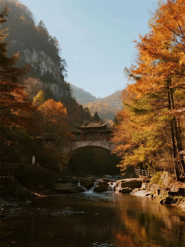 帶娃去光霧山賞秋!10-12月攻略收好不踩雷 帶娃去光霧山賞秋!10-12月攻略收好不踩雷