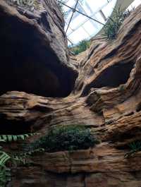 上海世博文化公園溫室花園超全攻略