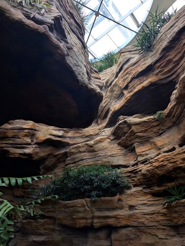 上海世博文化公園溫室花園超全攻略